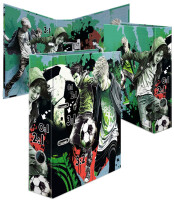 HERMA Ordner Street Soccer