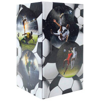 HERMA Stifteköcher Fußball 1Stk