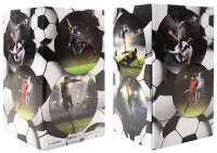 HERMA Stifteköcher Fußball 1Stk