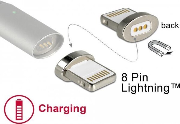 DELOCK Magnetischer Adapter 8 Pin Lightning Stecker