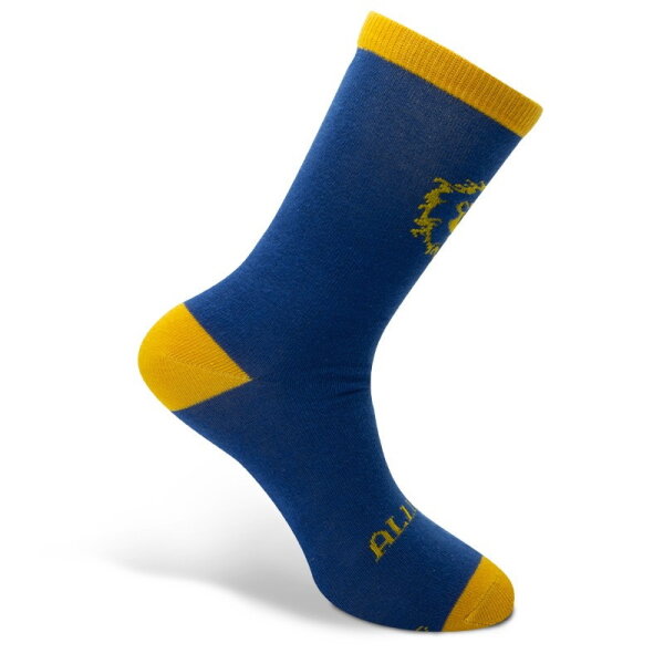 WORLD OF WARCRAFT - Socken Alliance