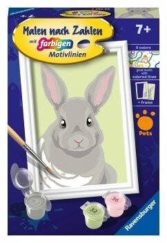 Malen nach Zahlen - Niedliches Kaninchen