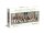 High Quality Panorama - 1000 Teile Puzzle NP - Beagles