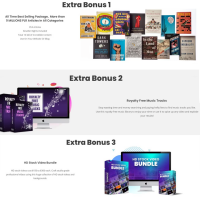 300.000 Ebooks Bundle incl. PLR Licence