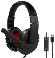 Logilink Headset Stereo High Quality                     USB