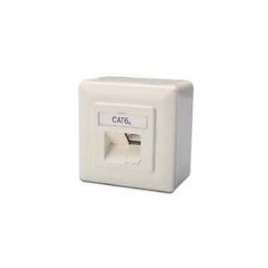 DIGITUS RJ45Dose Cat6a 2xRJ45 geschirmt Aufputz Signalweiß