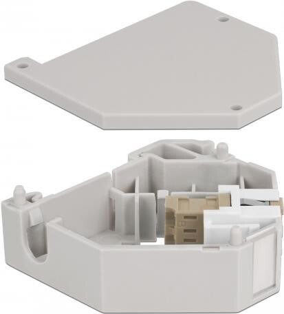 DELOCK Hutschienenadapter mit Keystone LC Duplex BU < Buchse