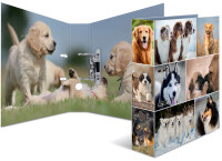 HERMA Ordner A4 Hunde