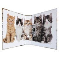 HERMA Ordner A4 Katzen