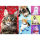 Glückliche Katzen - Puzzle 1000 Teile
