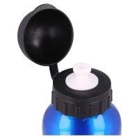 Harry Potter - Aluminium Trinkflasche 400ml
