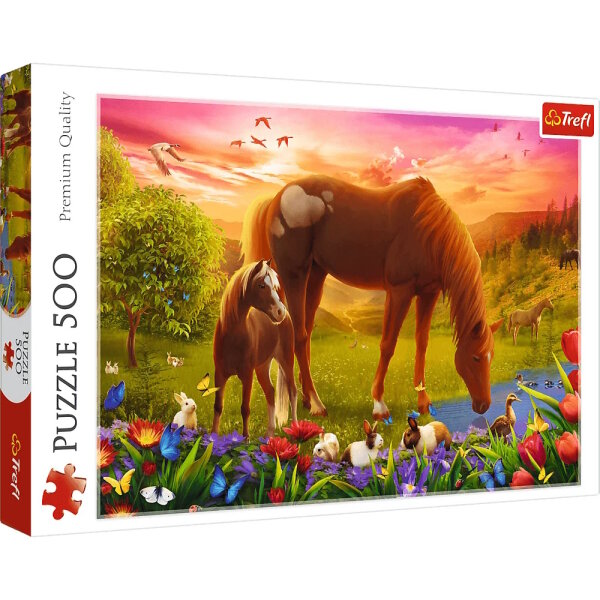 Pferde auf der Wiese - Puzzle 500 Teile
