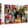 Katzen - Puzzle 1000 Teile