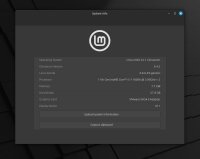 Linux Mint 22.1 "Xia" Cinnamon Edition DVD
