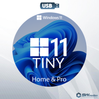 Tiny11 2311 x64 USB-Stick