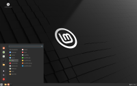 Linux Mint 22 "Wilma" Cinnamon USB-Stick