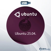 Ubuntu 25.04 USB-Stick