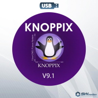 Knoppix V9.1 USB-Stick