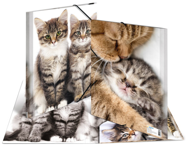 HERMA Sammelmappe A4 Katzen Polypropylen