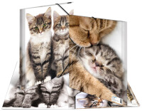 HERMA Sammelmappe A4 Katzen Polypropylen