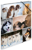 HERMA Sammelmappe A4 Hunde Pappe