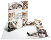 HERMA Sammelmappe A4 Katzen Pappe