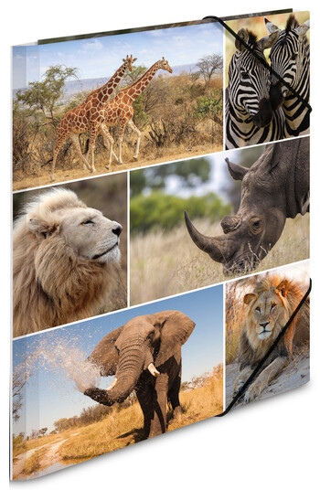 HERMA Sammelmappe A4 Afrika Tiere Pappe