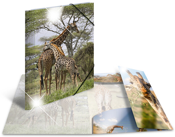 HERMA Sammelmappe A4 Glossy Giraffe Polypropylen