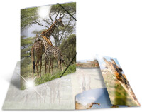 HERMA Sammelmappe A4 Glossy Giraffe Polypropylen