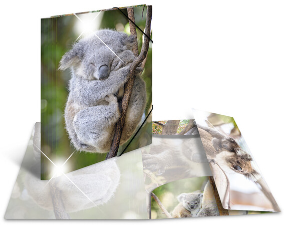 HERMA Sammelmappe A4 Glossy Koala Polypropylen