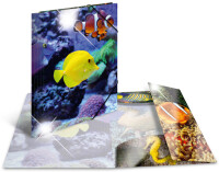 HERMA Sammelmappe A4 Glossy Fisch Polypropylen