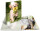 HERMA Sammelmappe A4 Glossy Hund Polypropylen