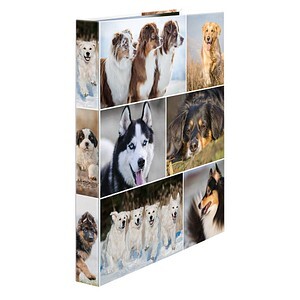 HERMA Ringbuch A4 Hunde  2D