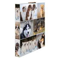 HERMA Ringbuch A4 Hunde  2D