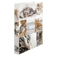 HERMA Ringbuch A4 Katzen 2D