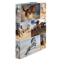 HERMA Ringbuch A4 Pferde 2D