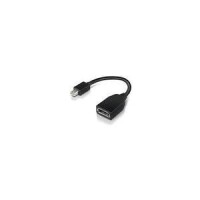 Lenovo Mini-Displayport auf Displayport Adapter