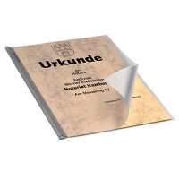 DURABLE Klemmschienenhülle bis 100 Blatt 50...