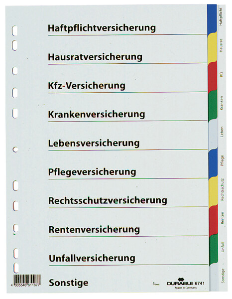 DURABLE Blanko-Register PP 10tlg farbig Verlauf grau