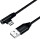 Logilink USB-Stecker USB 2.0 zu USB-B (90° gewinkelt) 0,3m
