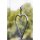 tesa Powerstrips transparent Deco-Haken