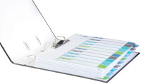 DURABLE Register A4 + 10tlg. 1-10 farbige Taben+trans. Form.