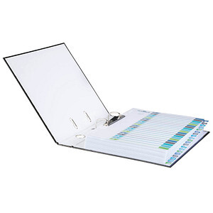 DURABLE Register A4 + 20tlg. 1-20 farbige Taben+trans. Form.